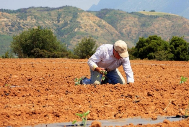 Διαμαρτυρία για τη δέσμευση των επιδοτήσεων των αγροτών
