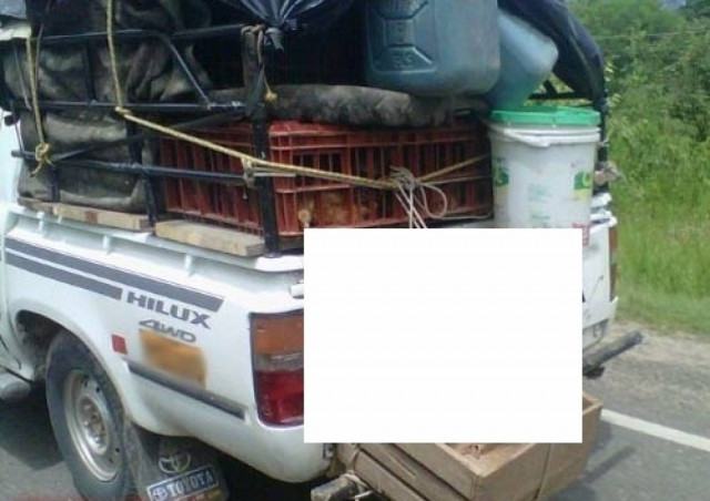 Η πιο παράξενη μεταφορά σκύλου