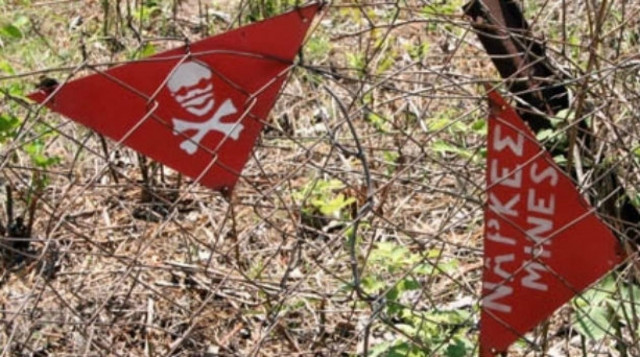 «Χοντρό» παιχνίδι της ΜΚΟ με τις νάρκες του Έβρου!