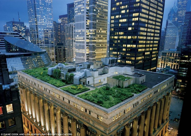 Πανέμορφοι κήποι σε οροφές κτιρίων