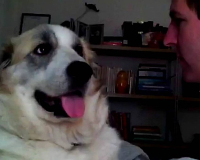 «Φύγε αφεντικό, θα σου ρίξω μπουνιά»!