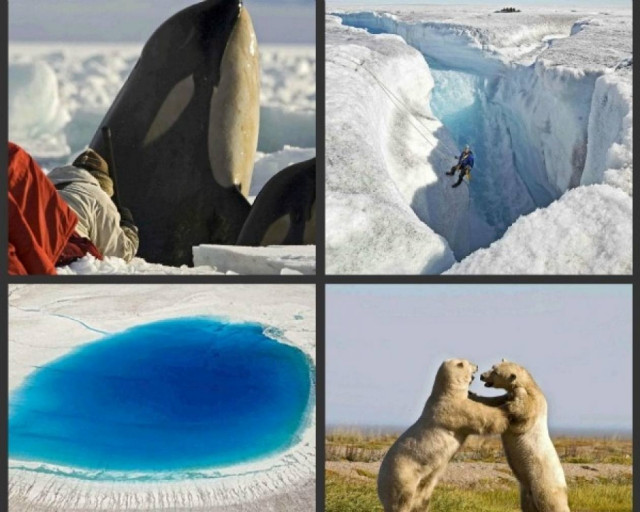 BBC: Εντυπωσιακές εικόνες του «Παγωμένου Πλανήτη»