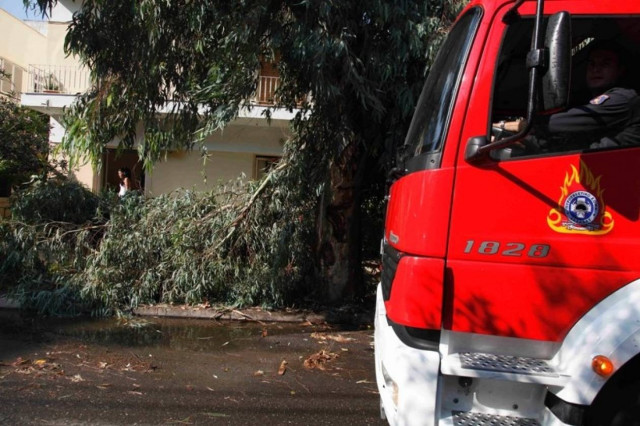 Δέντρο καταπλάκωσε αυτοκίνητα