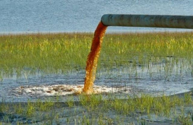 Απόβλητα ελαιουργείου κατέληγαν στη θάλασσα στο Ρέθυμνο