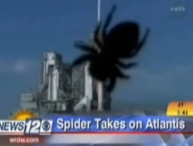 Τρομακτική φάρσα με αράχνη σε δελτίο ειδήσεων!