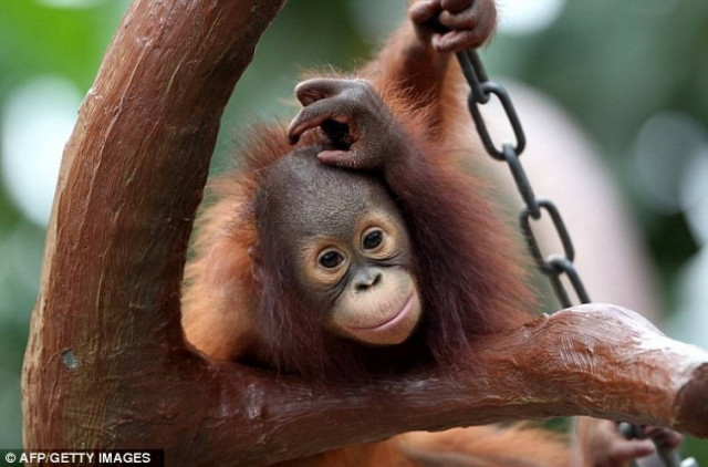 Μάνα είναι μόνο μία