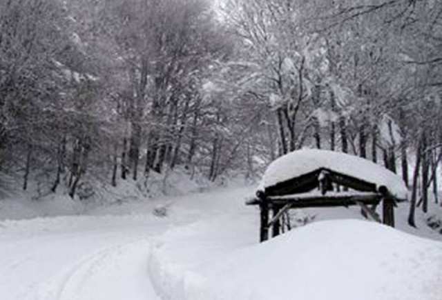 H  παγωνιά «θέρισε» 30 ανθρώπους στην Ανατ. Ευρώπη