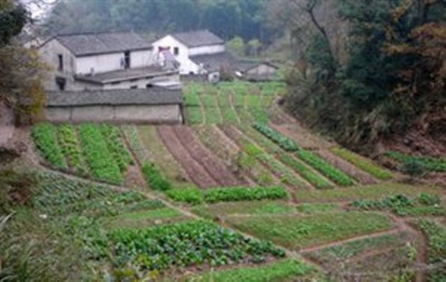 Ο δήμος Λαρισαίων παραχωρεί κηπάρια σε άνεργους