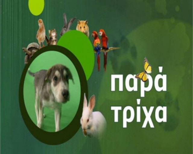 Η ελληνική τηλεοπτική εκπομπή αφιερωμένη στα κατοικίδια