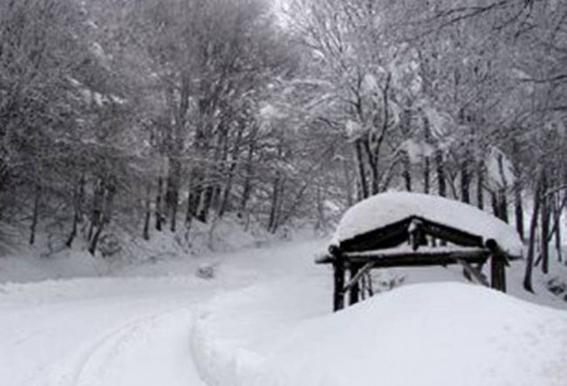 Εκατοντάδες  οι νεκροί στην Ευρώπη από το ψύχος