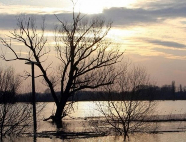 Σκαρφάλωσαν στις στέγες για να σωθούν
