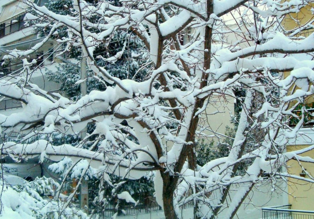 Στα «λευκά» η χώρα και την Πέμπτη