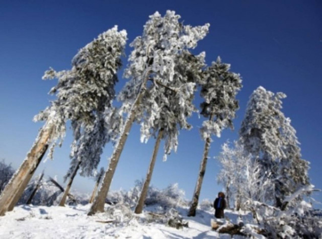 Xιόνια και κύμα ψύχους στην Τουρκία
