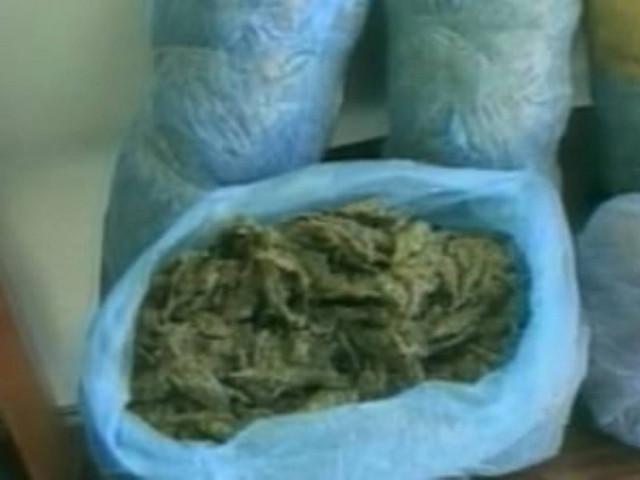 Καλλιεργούσαν 9 δενδρύλλια κάνναβης στον Άγιο Νικόλαο