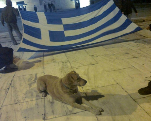 Ανησυχία στο Facebook για την «εξαφάνιση» του Λουκάνικου