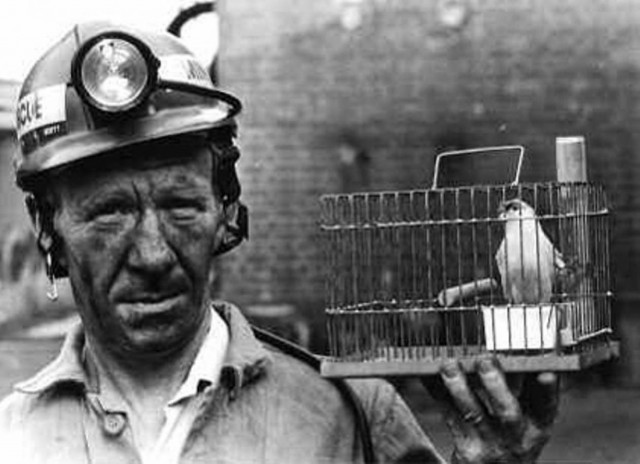 «Καναρίνι ορυχείου» η Ελλάδα για την ευρωζώνη