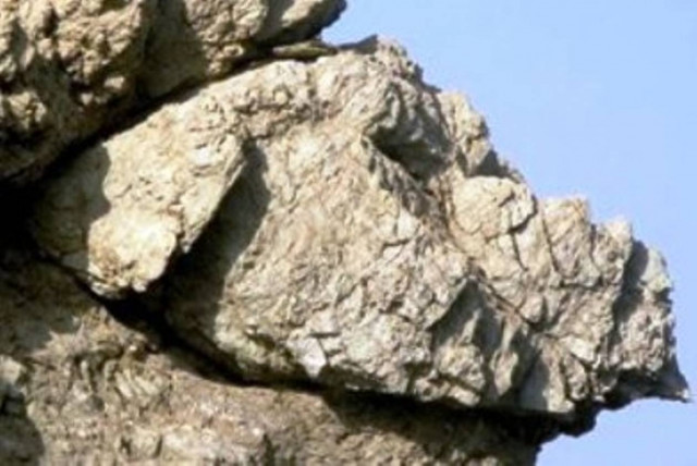 Έπεσε βράχος σε σχολικό λεωφορείο!