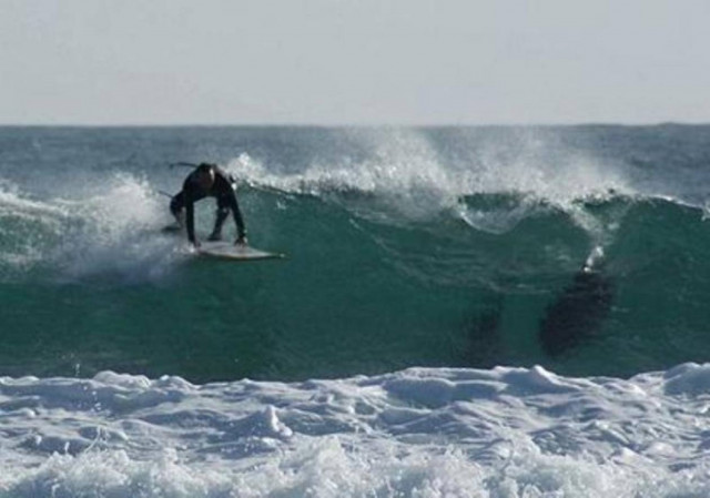 Κατασπαράζουν έναν άνθρωπο το μήνα