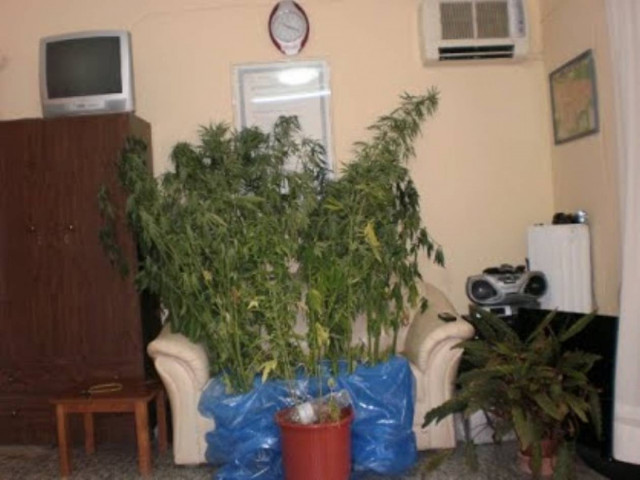 «Πιάστηκαν» για κατοχή κάνναβης στο Πειραιά