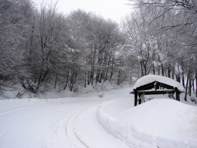 Σφοδρή χιονοθύελλα στο Πήλιο