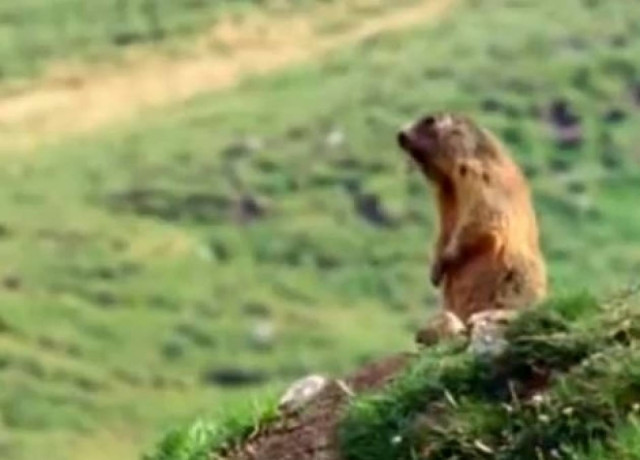 Γιατί δεν απαντά ο Σάκης