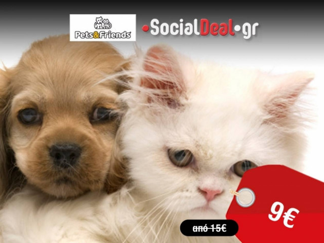 Αξεσουάρ και λιχουδιές για τους μικρούς σας φίλους μόνο με 9€