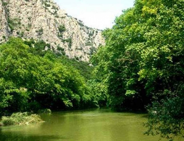 Γυναίκα βούτηξε στον Πηνειό!