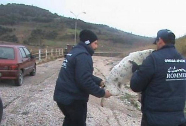 Δηλητηριασμένα ζώα εντοπίστηκαν στη Θεσσαλονίκη