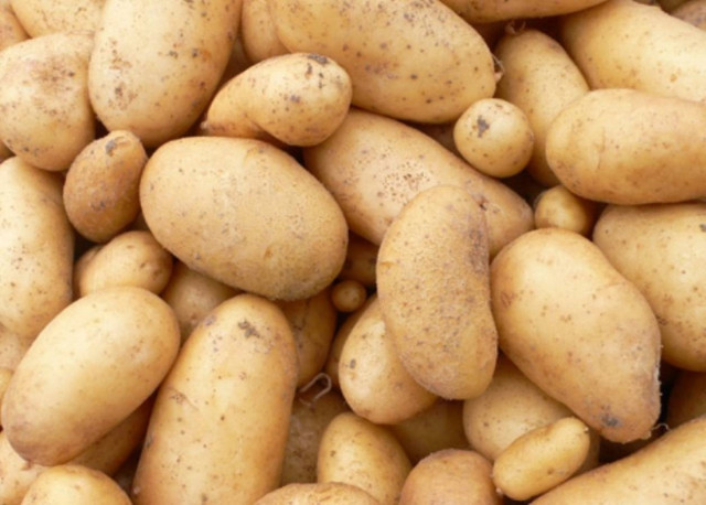 Και ο Δήμος Νεάπολης στο κίνημα της πατάτας