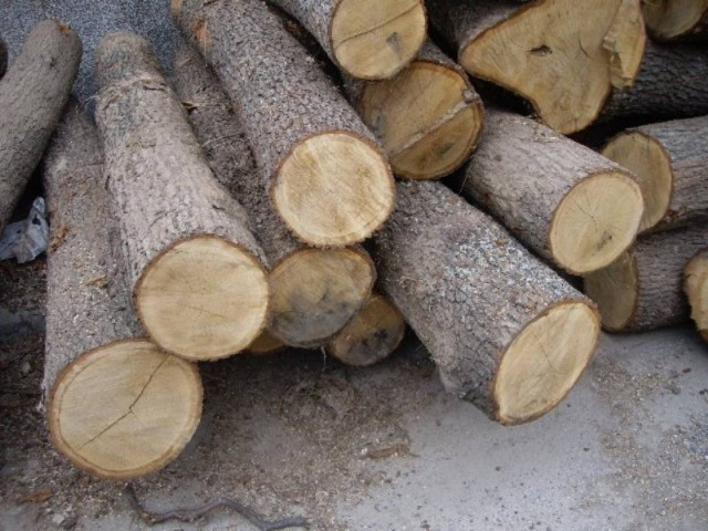 «Άδειασε» 2.600 ευρώ από κατάστημα ξυλείας στη Θεσσαλονίκη