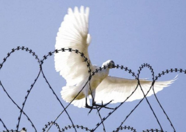 Εκεχειρία στη Λωρίδα της Γάζας