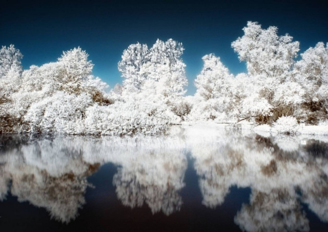 Ποίηση μέσω του φωτογραφικού φακού