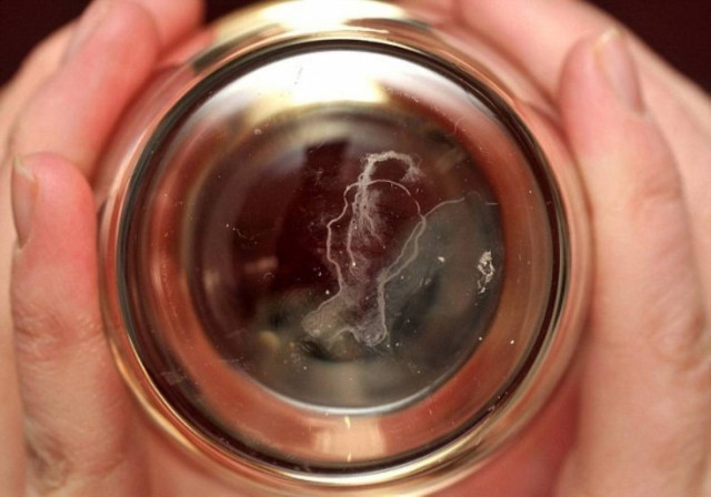 Το κεφάλι της βασίλισσας… «επί ποτηρίου»