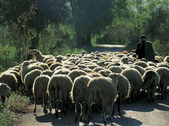 Κλείδωσαν κτηνοτρόφο στη στάνη του
