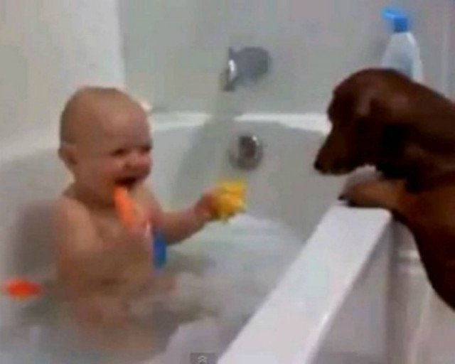 Ένας απίστευτος μπέμπης και ένας παιχνιδιάρης σκύλος!