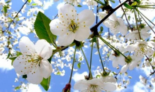 Λιακάδα και άνοδος της θερμοκρασίας