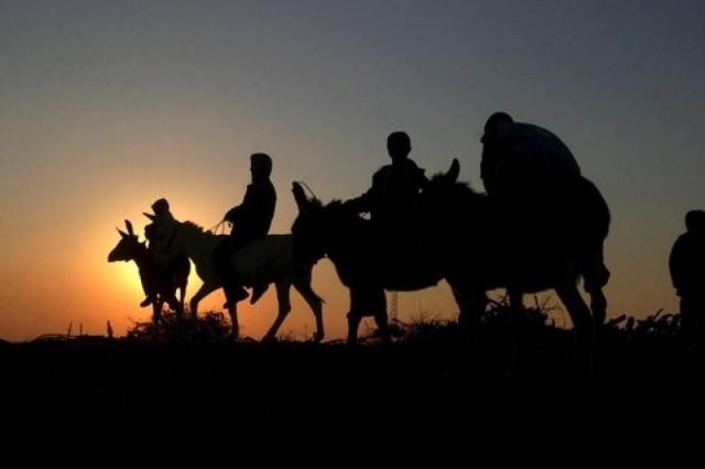 Ελεύθερες δύο τουρίστριες που είχαν απαχθεί από βεδουίνους
