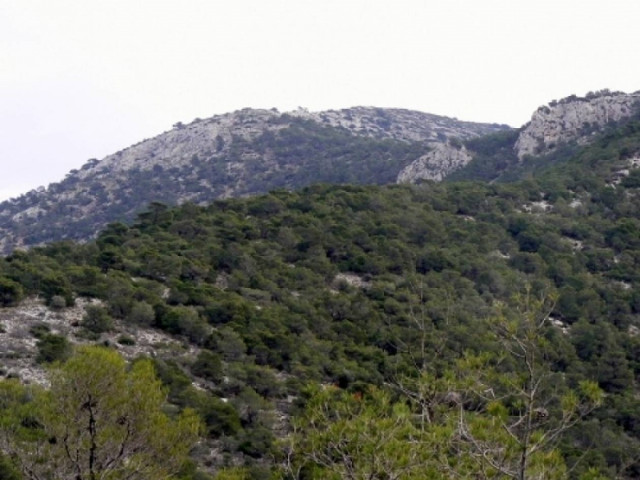 Αναμένεται η απόφαση για την καταπάτηση στην Αιξωνή Γλυφάδας