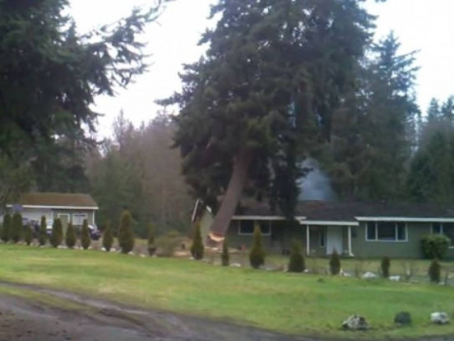 Το δέντρο πλάκωσε το σπίτι