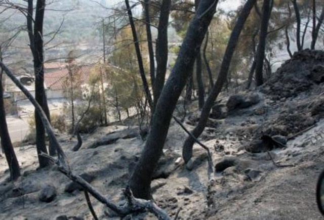 Άρχισε η δίκη για τις καταστροφικές φωτιές στην Ηλεία