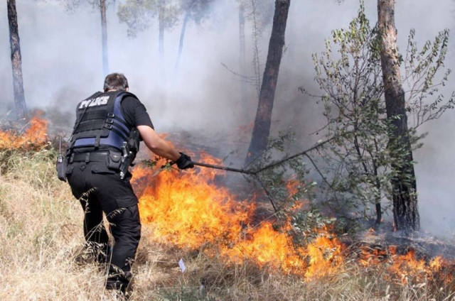 Μεγάλη πυρκαγιά σε εξέλιξη σε δασική έκταση στον Πύργο