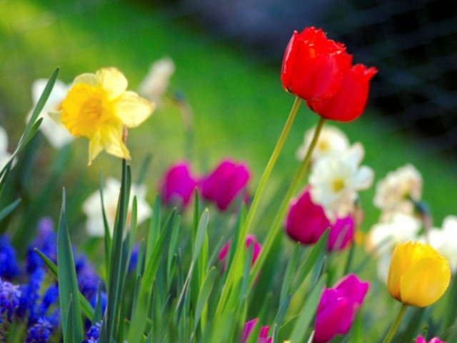 Άνοιξη και σήμερα