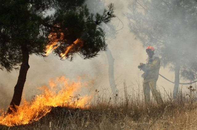 Μεγάλη πυρκαγιά στο Πήλιο