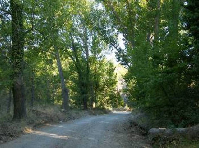 Αποζημιώσεις για δασικές εκτάσεις σε συνεταιρισμούς