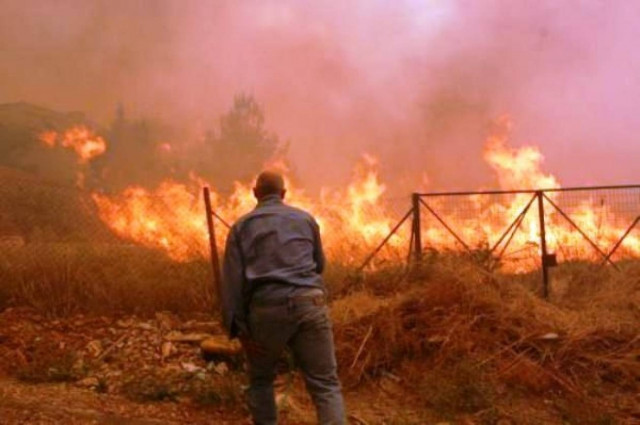 Φωτιά σε αγροτική έκταση στη Χίο