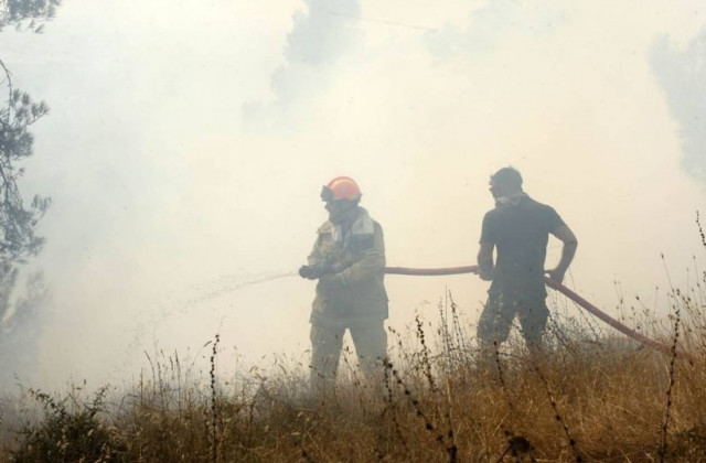 «Στάχτη» πέντε στρέμματα στη Σάμο