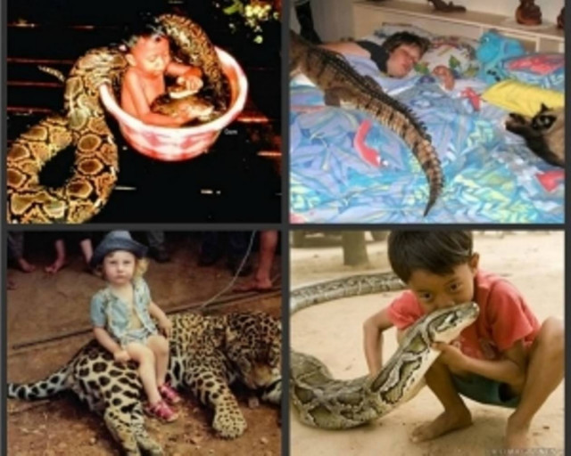 Σοκαριστικές φωτογραφίες παιδιών... αγκαλιά με επικίνδυνα ζώα