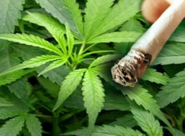 Μαθητές πιάστηκαν με χασίς στην Μυτιλήνη