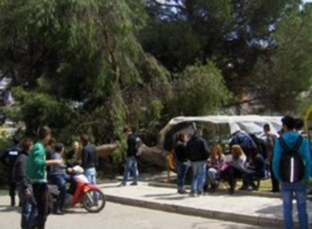 Δέντρο καταπλάκωσε δύο κοπέλες