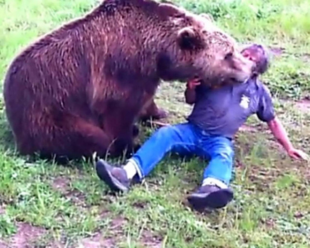 Αναπάντεχη φιλία μεταξύ ανθρώπου και μιας αρκούδας!